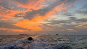 A sunset shining over a darkening sea