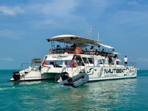 The back end of a large luxury catamaran