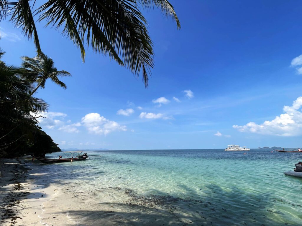 A beah surrounded by palm trees with a party boat in the background